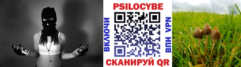Галлюциногенные грибы GOLDEN TEACHER Шебекино