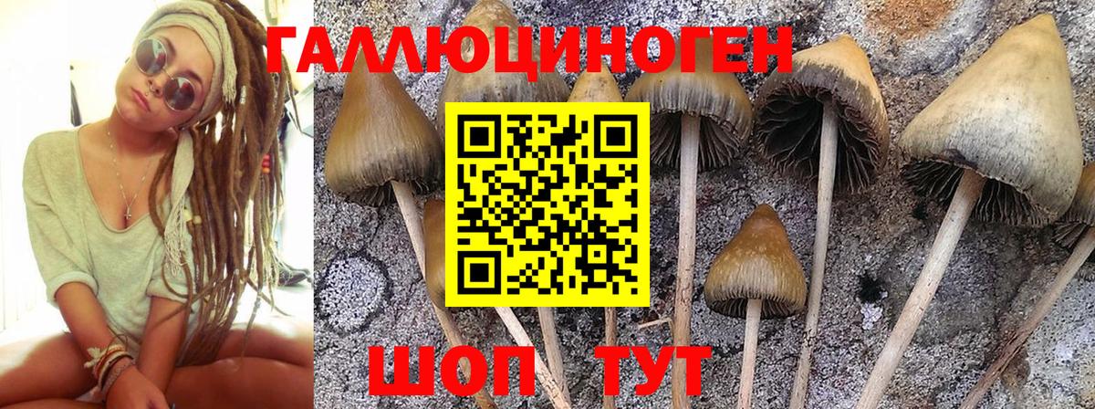 Псилоцибиновые грибы ЛСД  Галлюциногенные грибы мухоморы  Шебекино  Вход с VPN 
