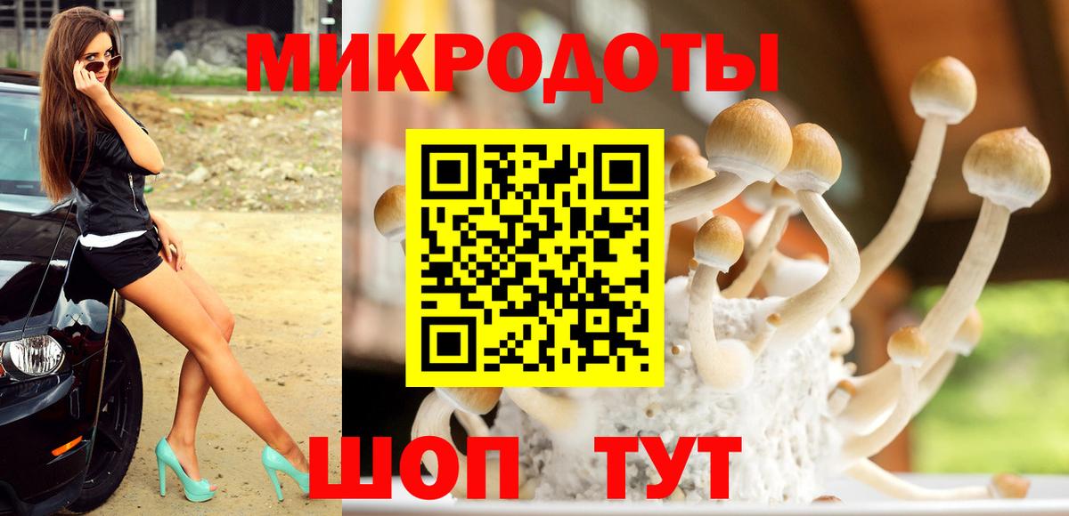 Псилоцибиновые грибы прущие грибы Шебекино