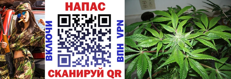 Бошки Шишки OG Kush  Шебекино 