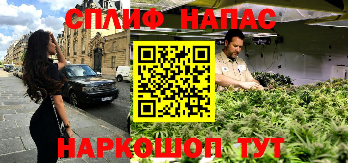 Конопля SATIVA & INDICA Шебекино
